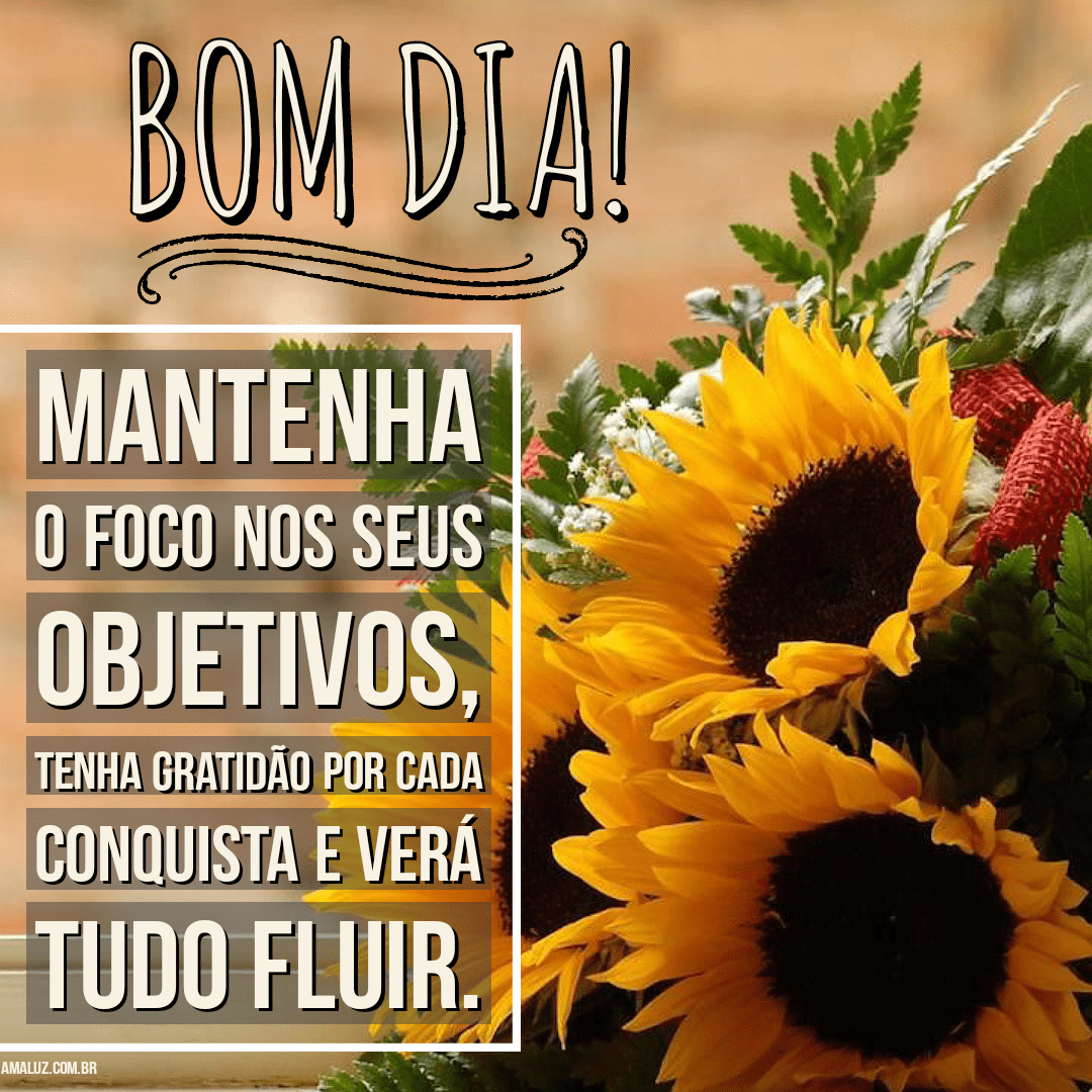 Bom dia frases para Instagram de gratidão