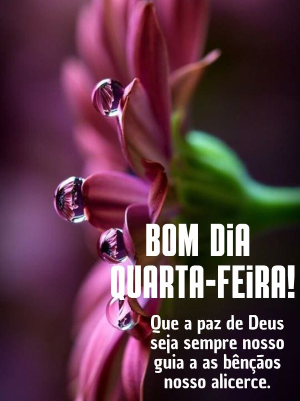 Bom dia quarta-feira com Deus guia