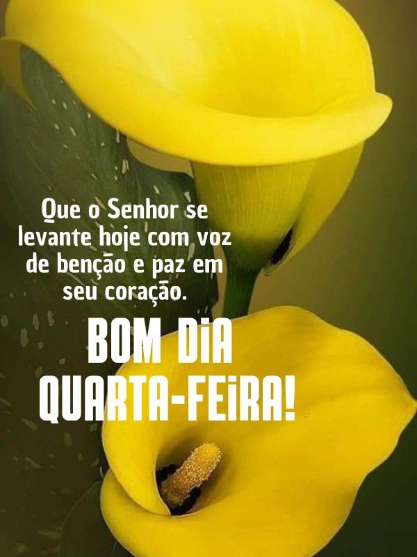 Bom dia quarta-feira com Deus voz suave