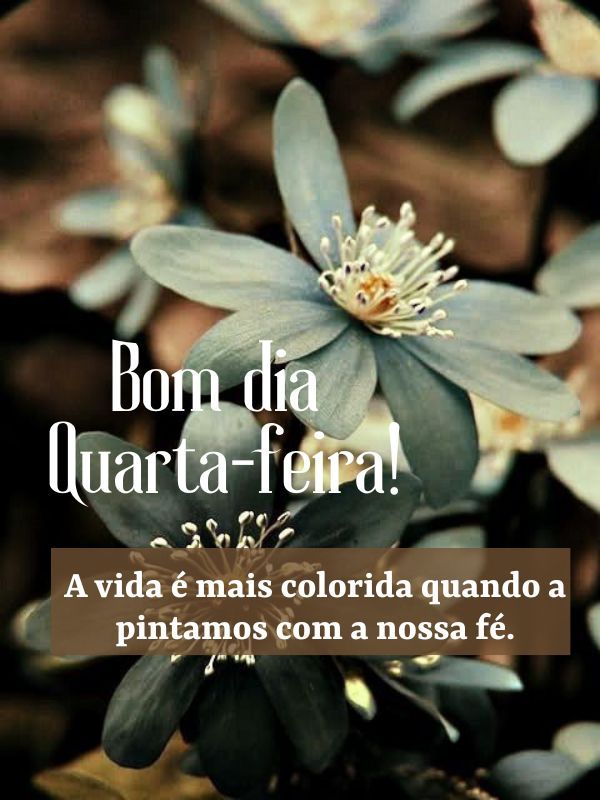 Bom dia quarta-feira com Deus vida