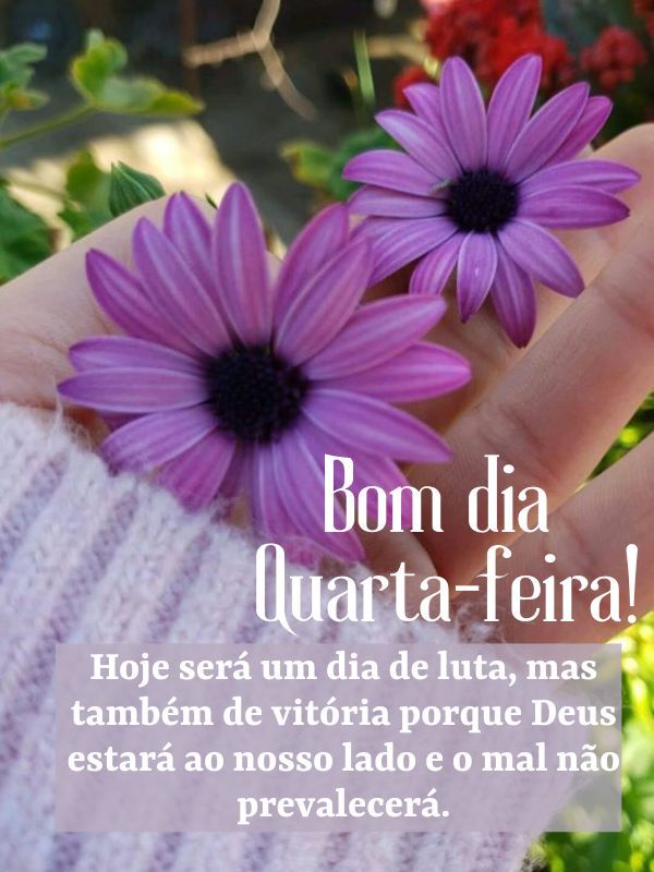 Bom dia quarta-feira com Deus amado