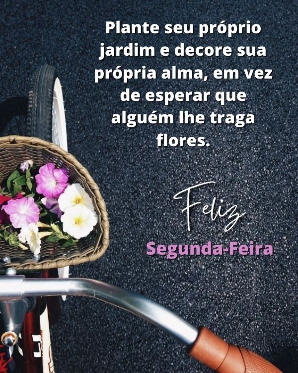 Plante seu próprio jardim e colhera lindas flores