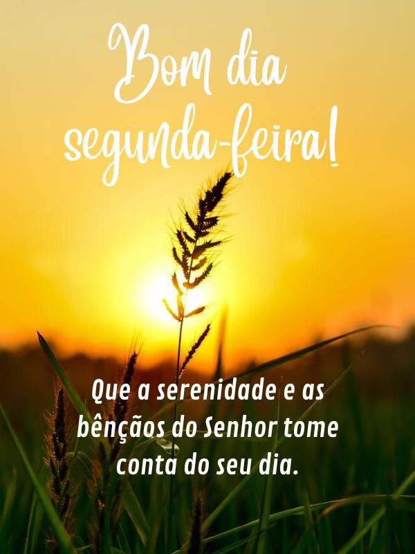 Bom dia Segunda-feira Abençoada ensolarado
