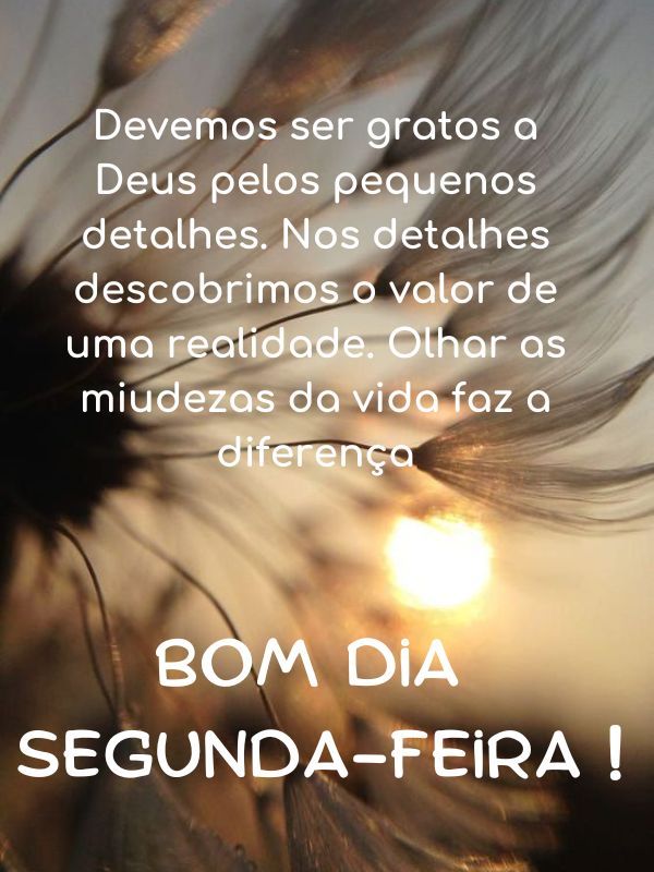 Bom dia Segunda-feira Abençoada vida
