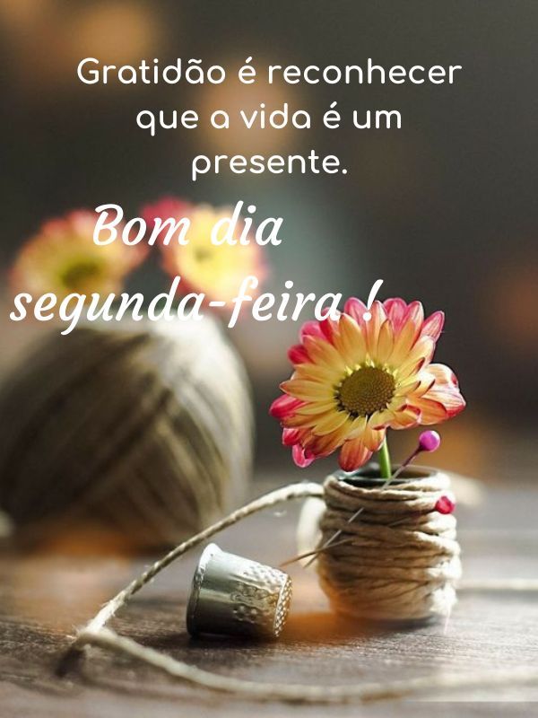Bom dia Segunda-feira Abençoada presente