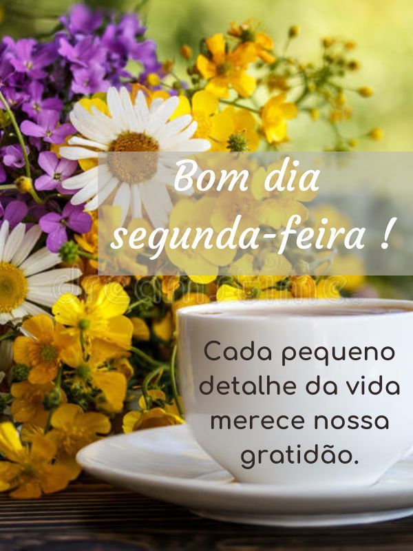 Bom dia Segunda-feira Abençoada detalhe