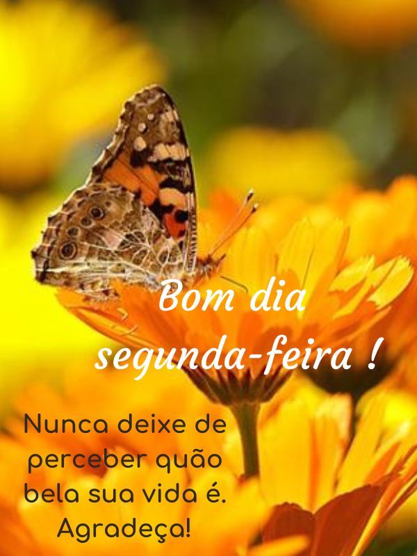 Bom dia Segunda-feira Abençoada e bela