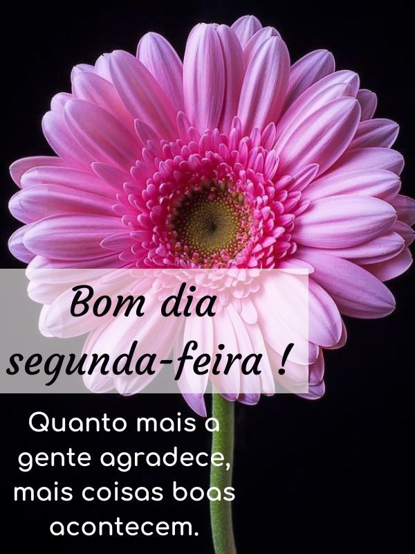 Bom dia Segunda-feira Abençoada boa
