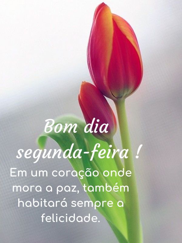 Bom dia Segunda-feira Abençoada felicidade