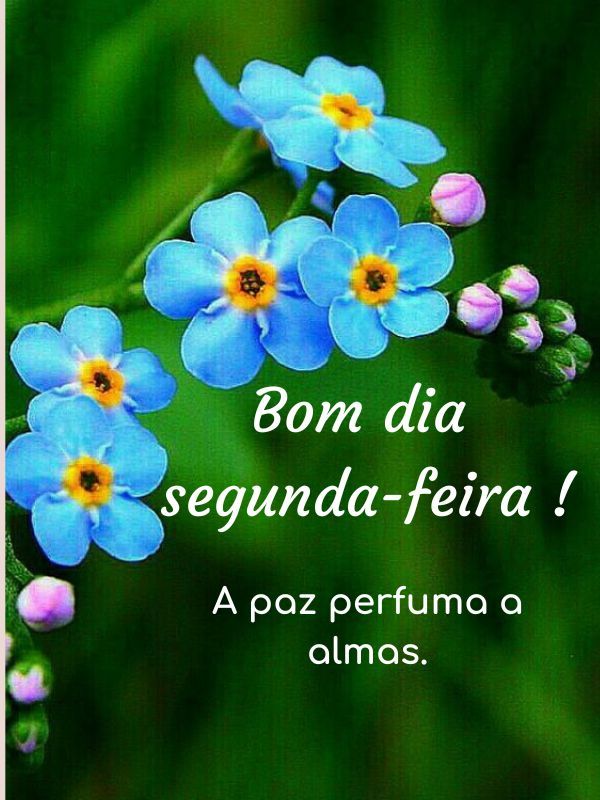 Bom dia Segunda-feira Abençoada perfuma