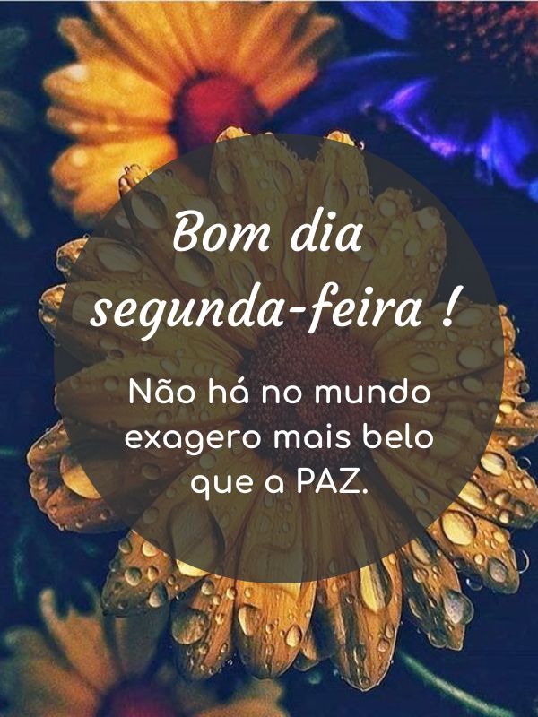 Bom dia Segunda-feira Abençoada exagero