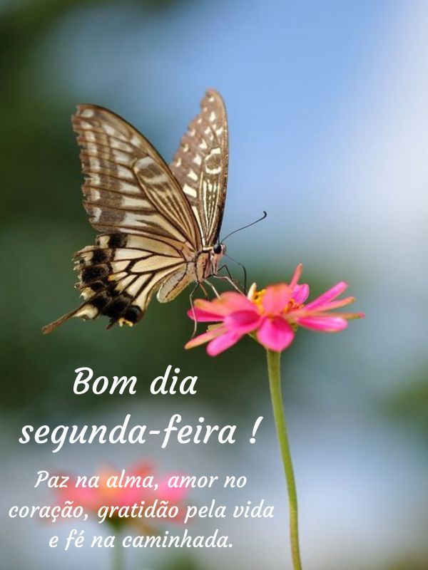 Bom dia Segunda-feira Abençoada caminhada