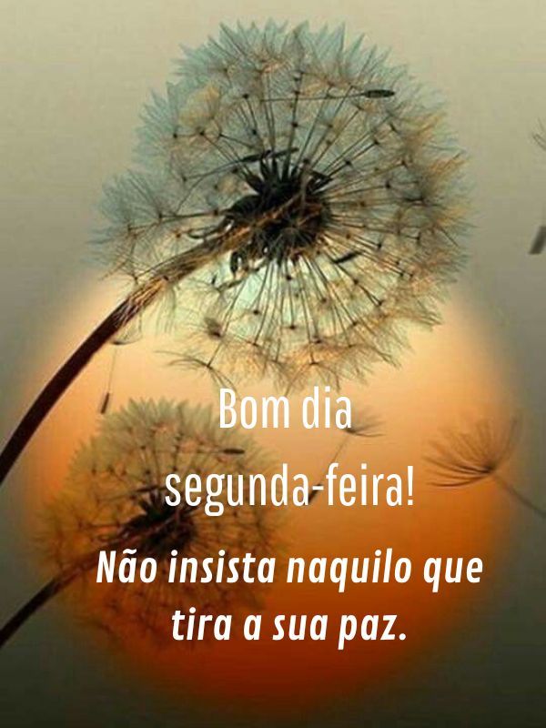 Bom dia Segunda-feira Abençoada vida