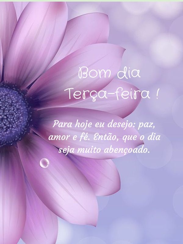 Bom dia terça feira abençoada paz