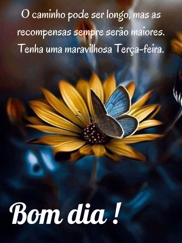 Bom dia terça feira abençoada caminho