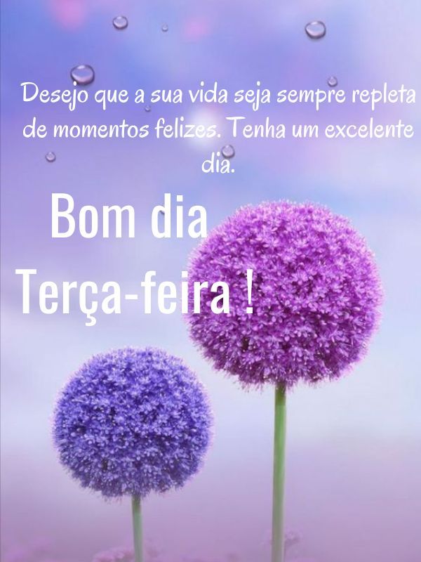 Bom dia terça feira abençoada sempre