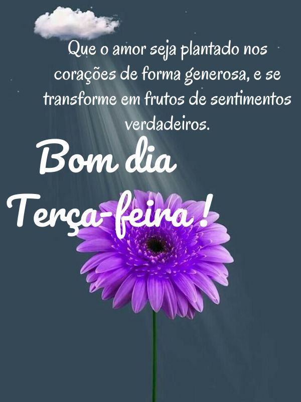 Bom dia terça feira abençoada corações