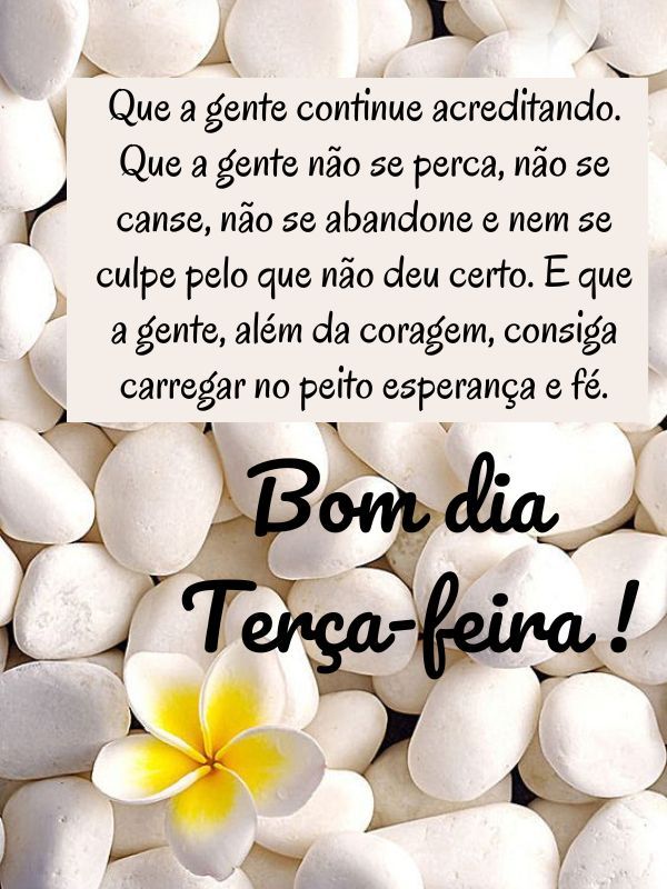 Bom dia terça feira abençoada acreditando