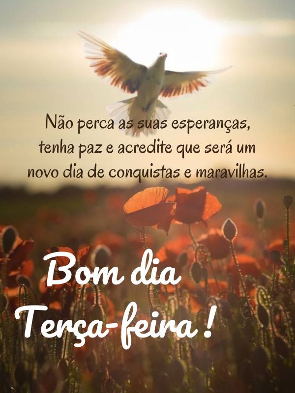 Bom dia Terça-feira Maravilhosa! Frases e Mensagens para Todos