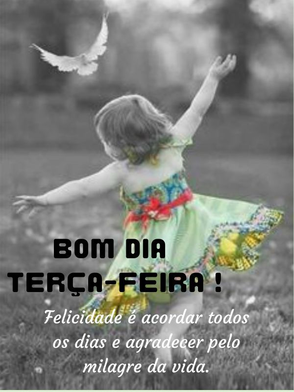 Bom dia terça feira abençoada felicidade