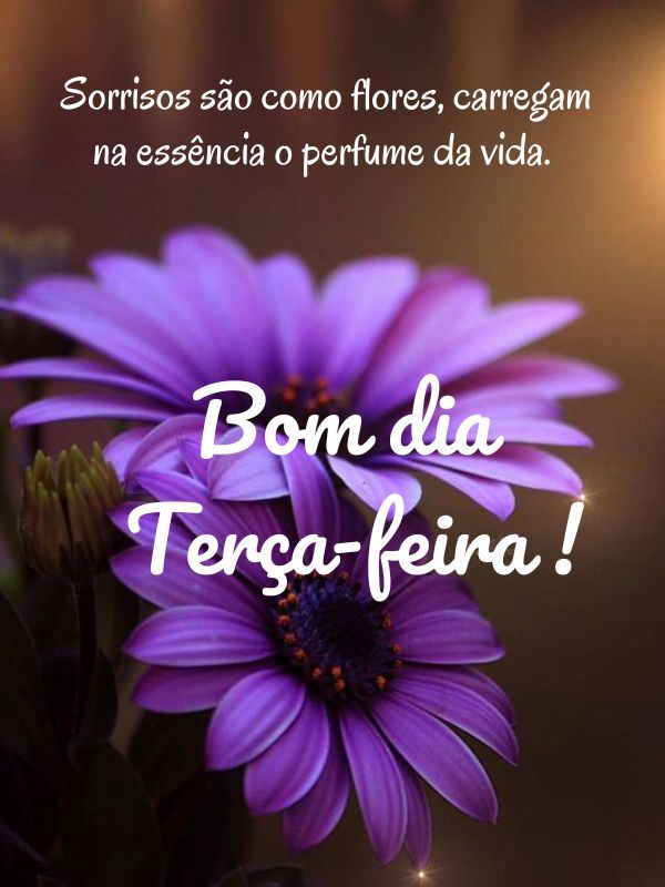 Bom dia terça feira abençoada flores