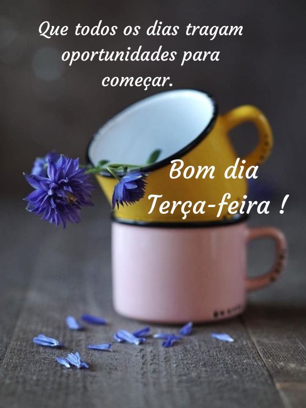Bom dia terça feira abençoada oportunidade