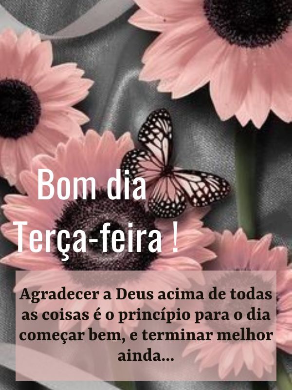 Bom dia terça feira abençoada agradecer