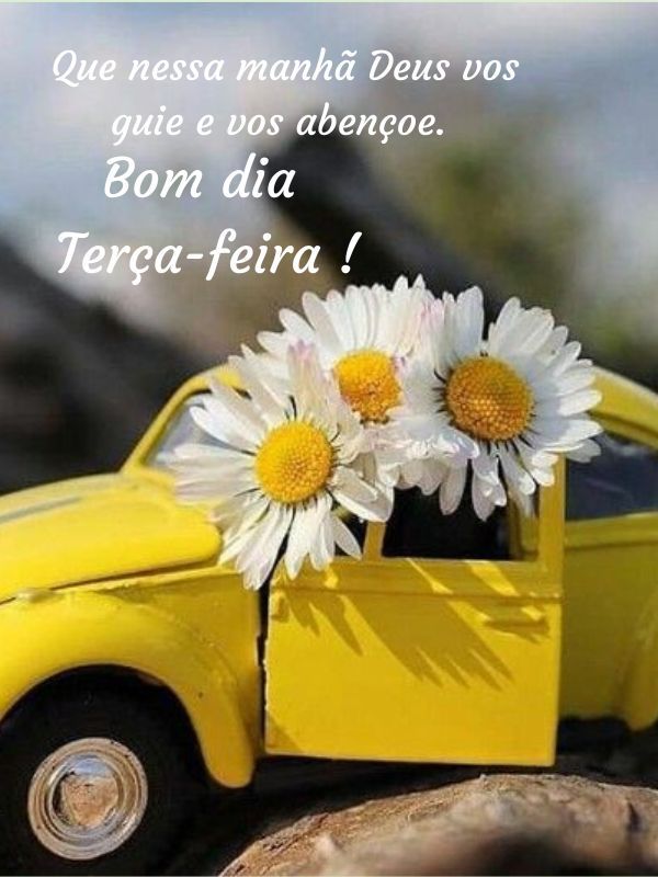 Bom dia terça feira abençoada guia