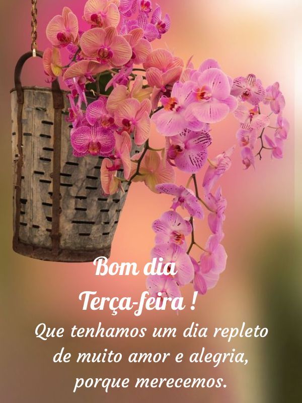 Bom dia terça feira abençoada alegria