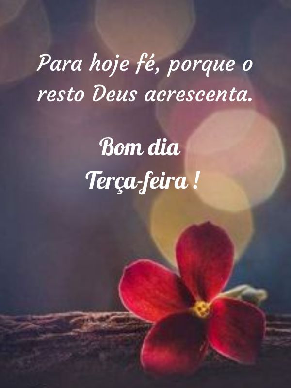 Bom dia terça feira abençoada fé