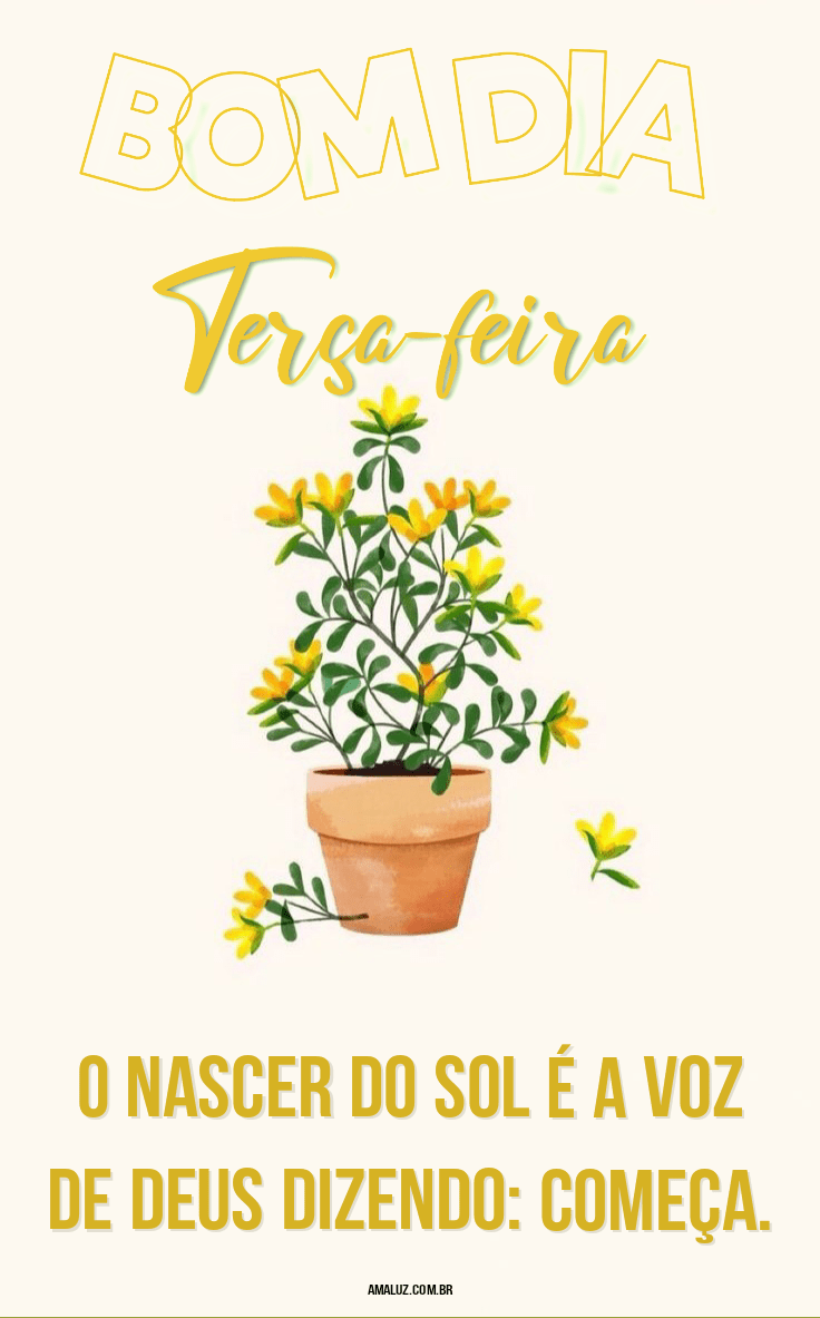 Bom dia terça-feira para instagram