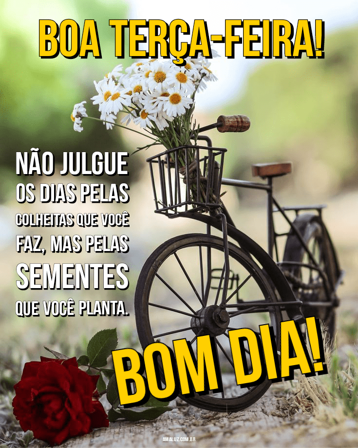 Bom dia tumblr para Instagram