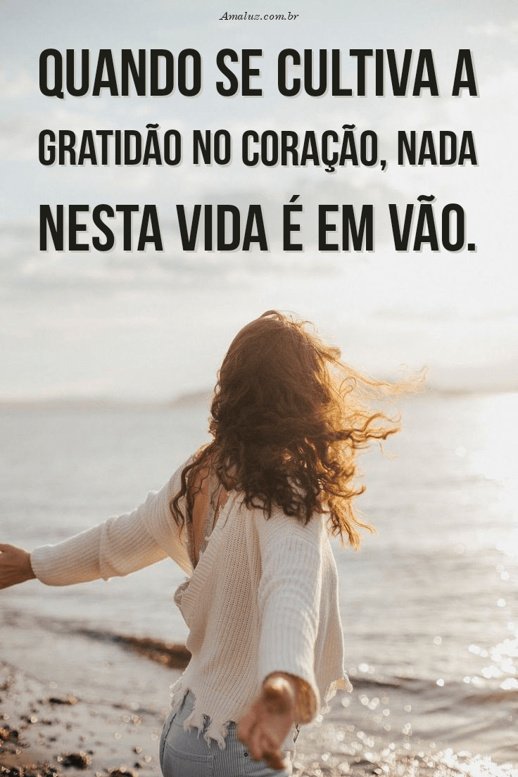 Cultive gratidão no coração