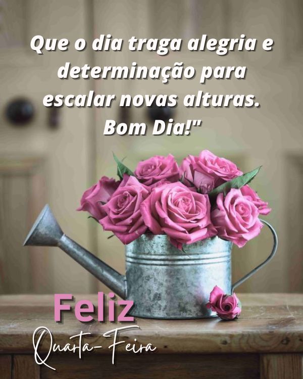 Que o dia traga alegria nessa nova manhã