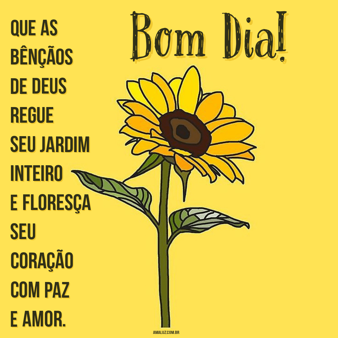 Bom dia para Instagram com Gratidão