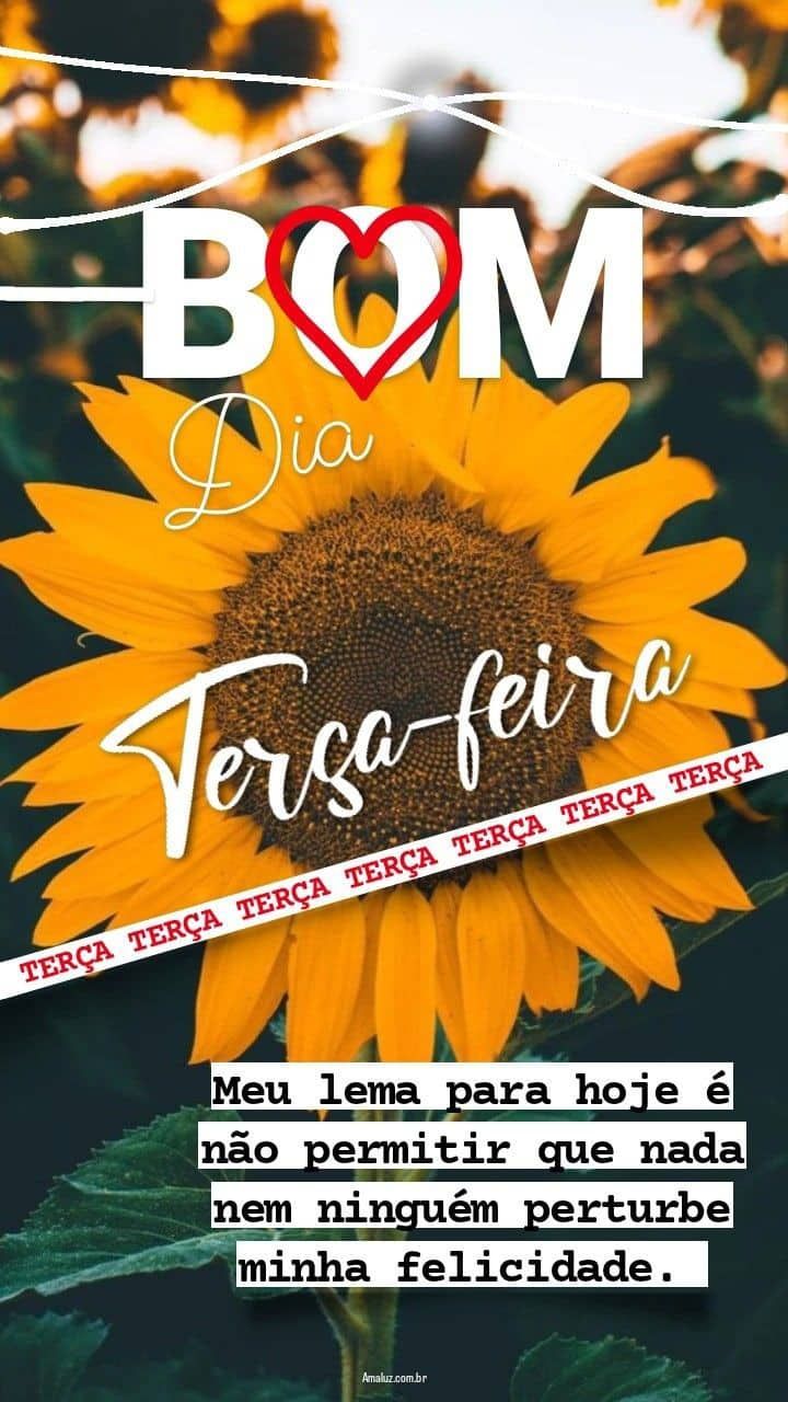 Frases em imagens tumblr de bom dia terça-feira