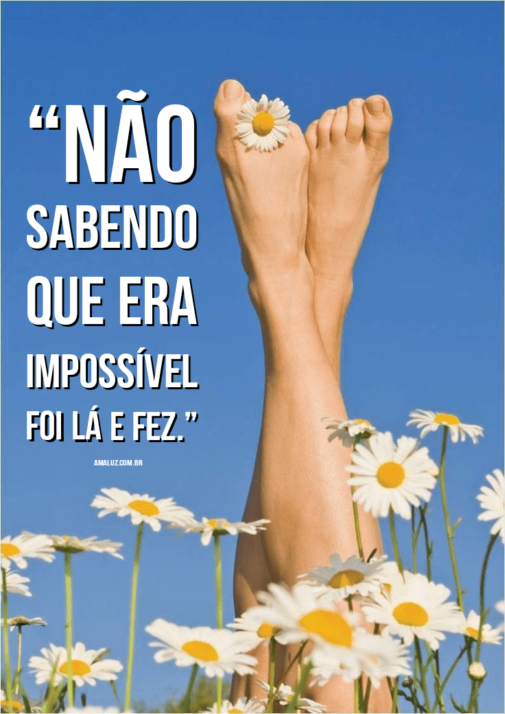 Frases para bio do instagram