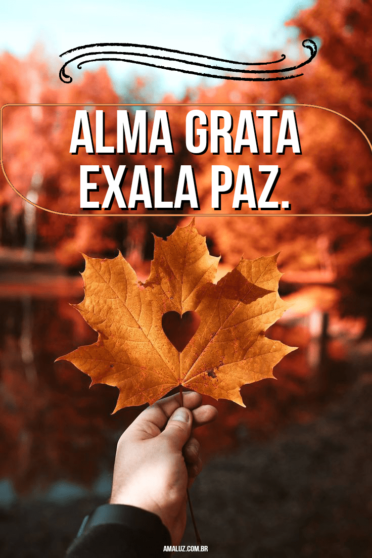 Frases para colocar na sua bio