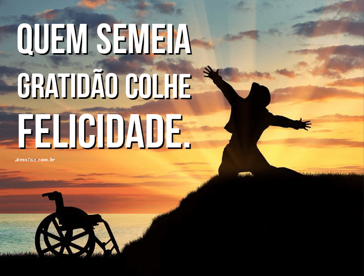 Quem semeia gratidão colhe alegria