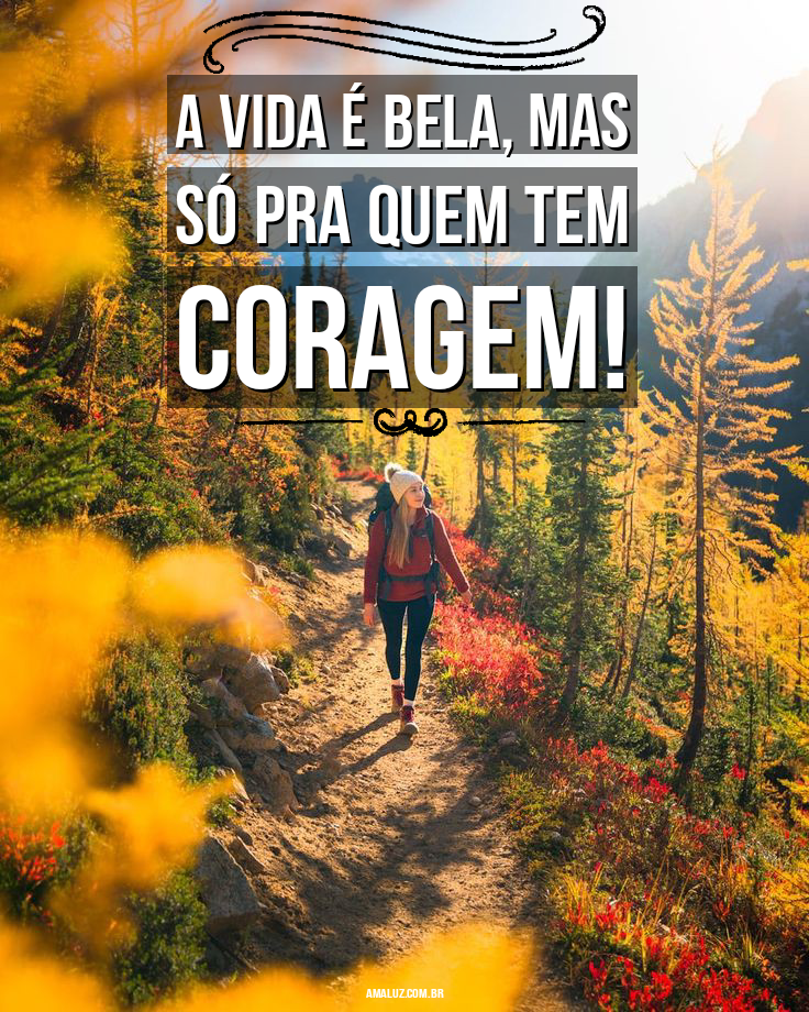 Top frases para bio Instagram