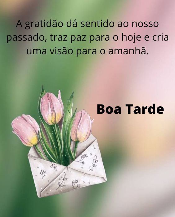 A gratidão da boa tarde