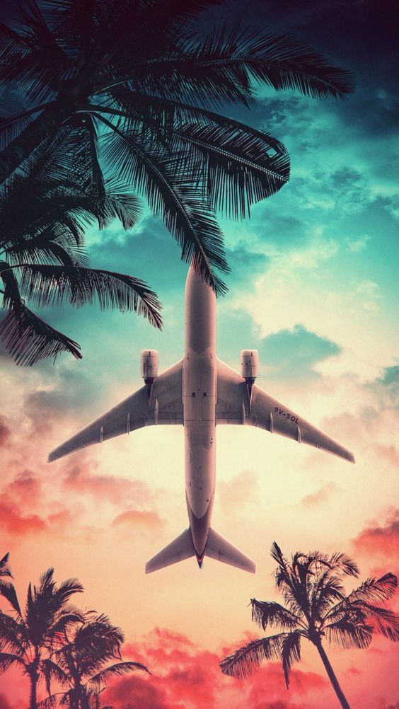 Papel de parede de avião