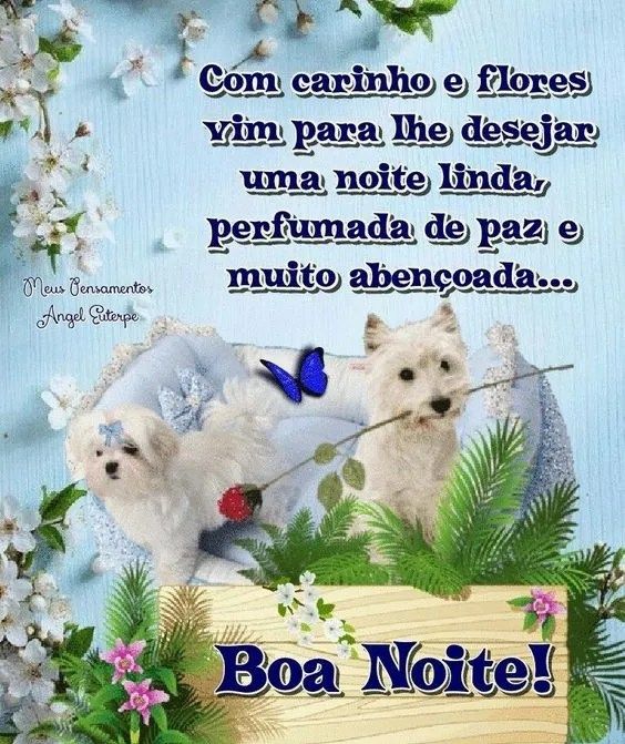 Boa noite com carinho e flores