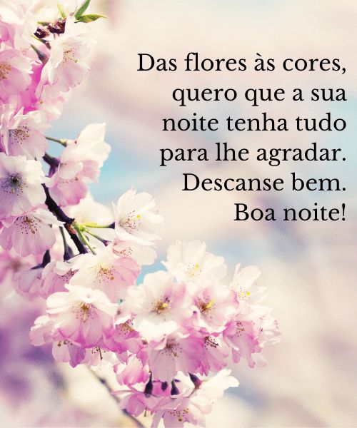 Imagens de Boa noite com Flores, Carinho e Lindos Sonhos