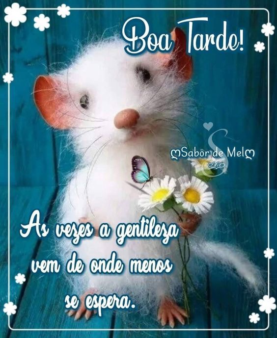 Boa tarde a delicadeza