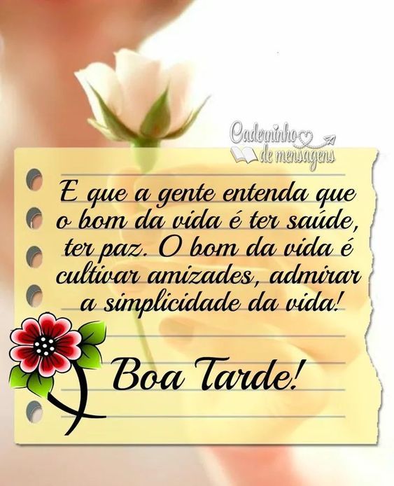 Boa tarde o bom da vida