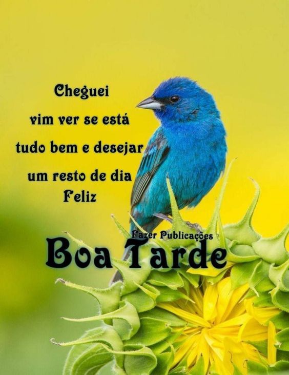 Um reto de dia feliz