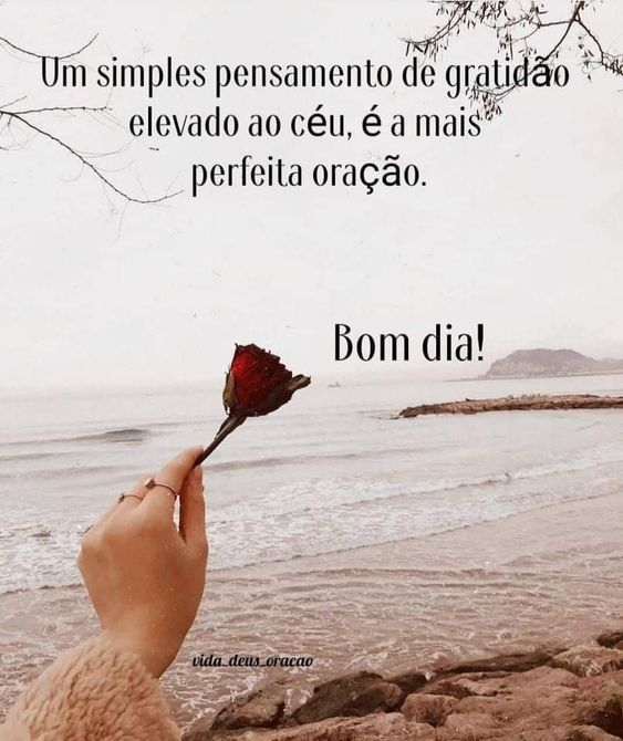 Simples pensamento de gratidão
