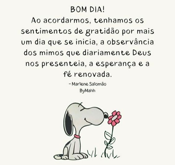 Bom dia tenhamos gratidão