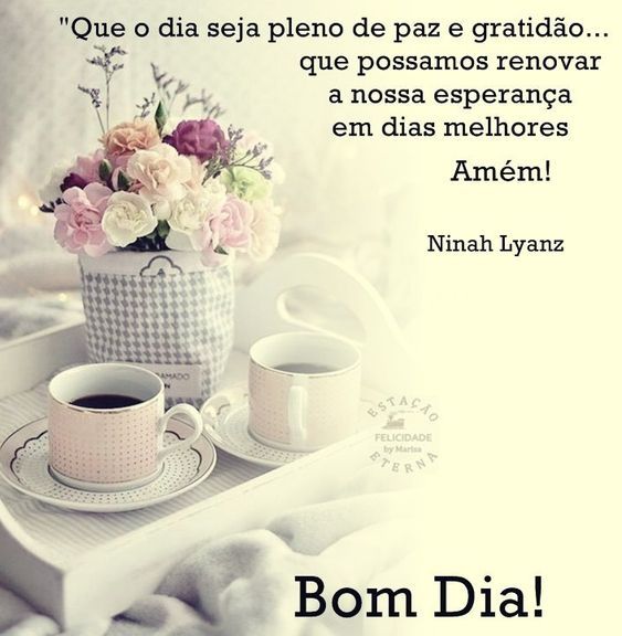 Bom dia pleno de paz e gratidão